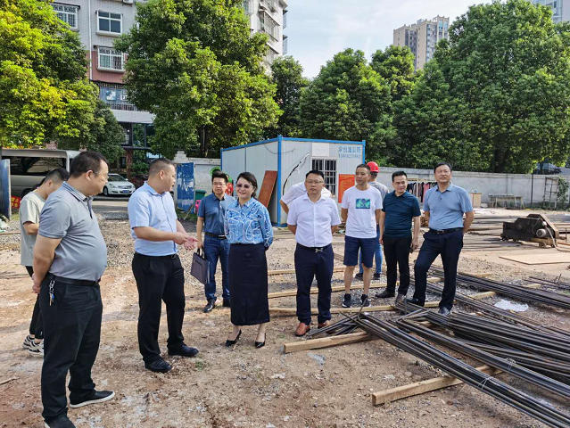 黄艳娥调研全大祥区棚改项目建设工作_邵阳头条网