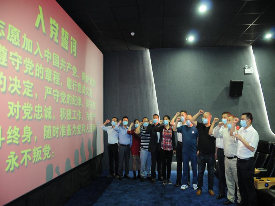 大祥区委宣传部机关党支部开展“光影铸魂”电影党课主题党日活动_邵阳头条网