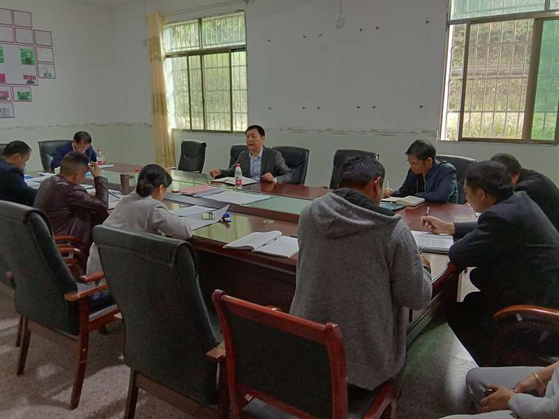 大祥区人大调度盘比村脱贫攻坚工作_邵阳头条网