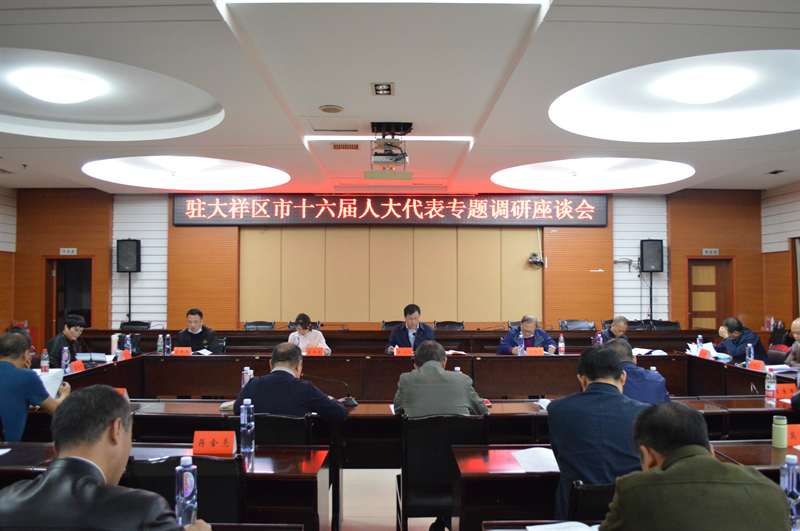 驻大祥区市人大代表专题调研重大疫情防控体系建设_邵阳头条网