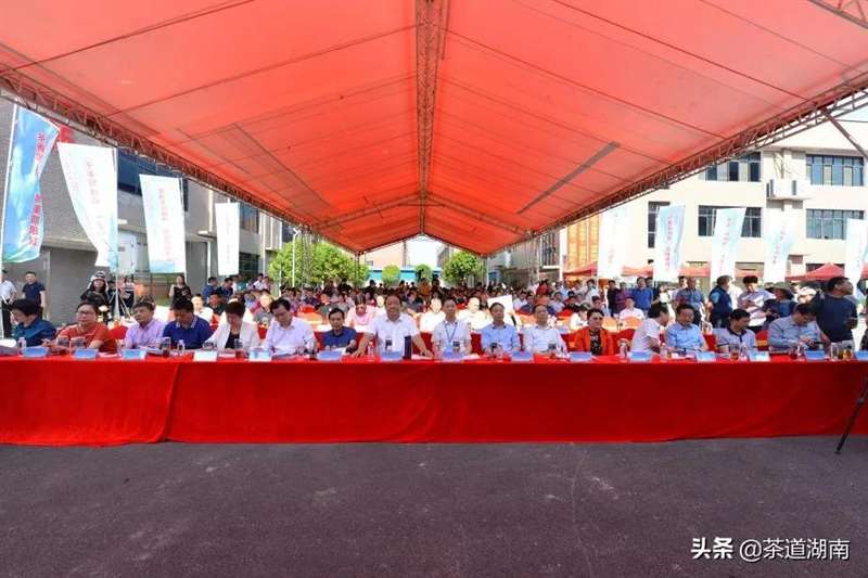 2021年“邵阳红”第五届茶叶技能大赛暨第三届邵阳红文化节举行_邵阳头条网