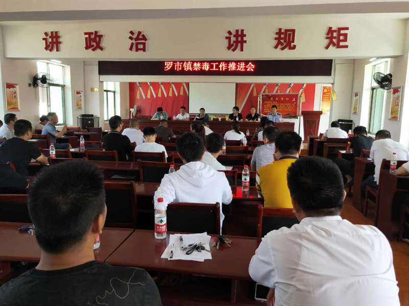罗市镇召开禁毒攻坚工作推进会_邵阳头条网