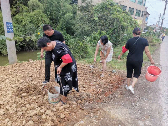人人齐心动手，共建美好人居环境_邵阳头条网