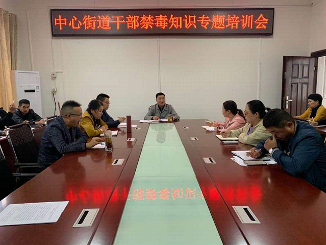 中心街道召开干部禁毒知识专题培训会_邵阳头条网