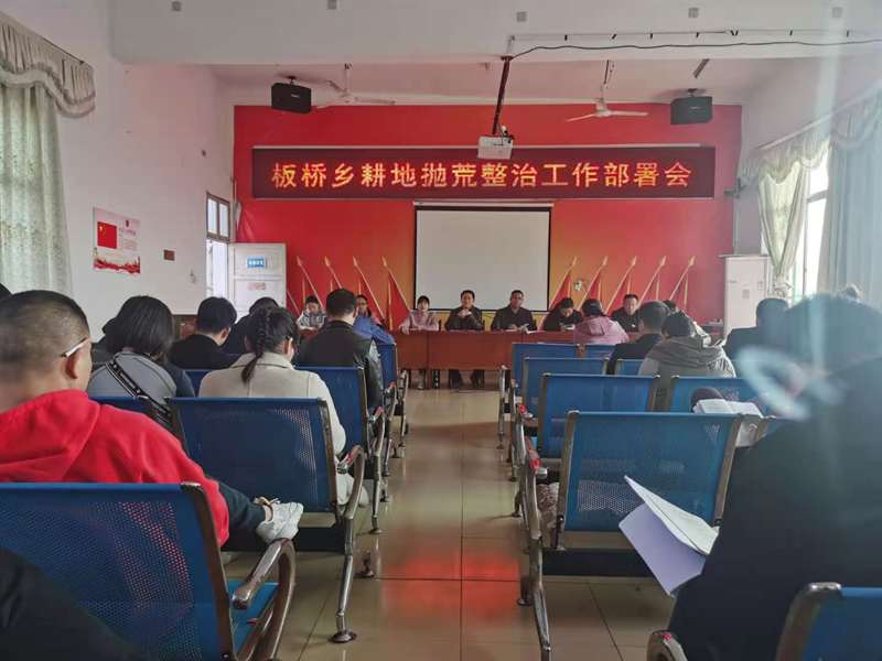 板桥乡扎实开展整治耕地抛荒工作_邵阳头条网
