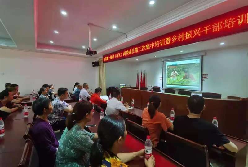 大祥区：按下乡村振兴快速键_邵阳头条网