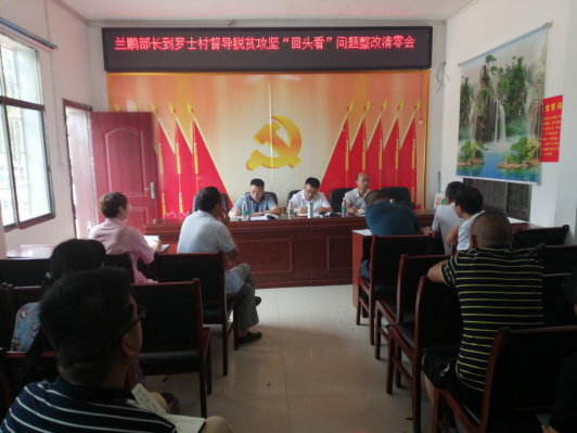 王兰鹏到蔡锷乡罗士村督导脱贫攻坚工作(图2)