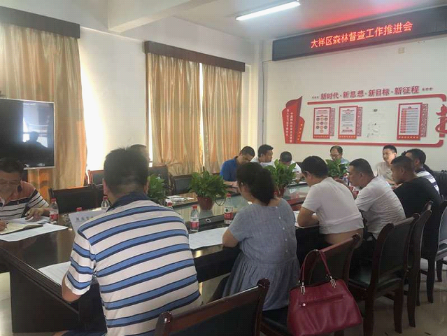 大祥区全力推进森林督查工作(图2)