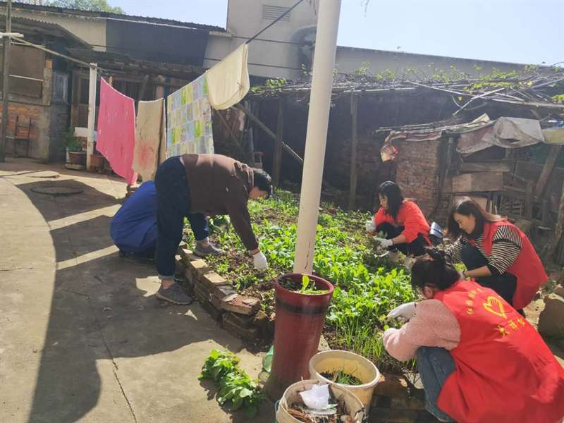 大祥区67支巾帼志愿队伍助力创国卫复审(图4)