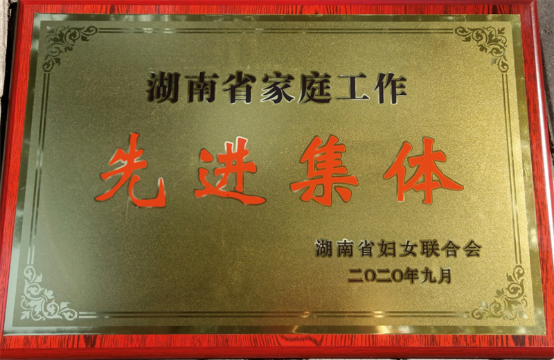 喜讯  大祥区妇联荣膺 “湖南省家庭工作先进集体”(图3)