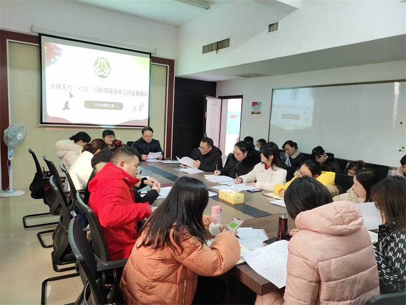 大祥区召开村（社区）妇联换届选举工作业务培训会议(图2)