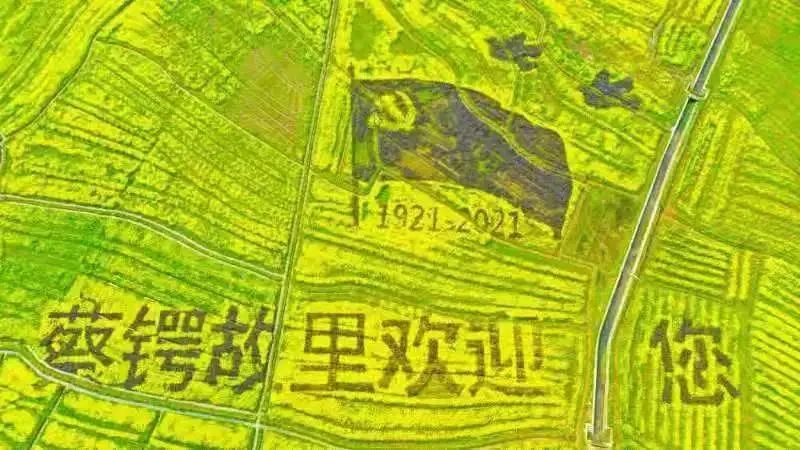 人民日报关注大祥区蔡锷故里的油菜花开(图2)