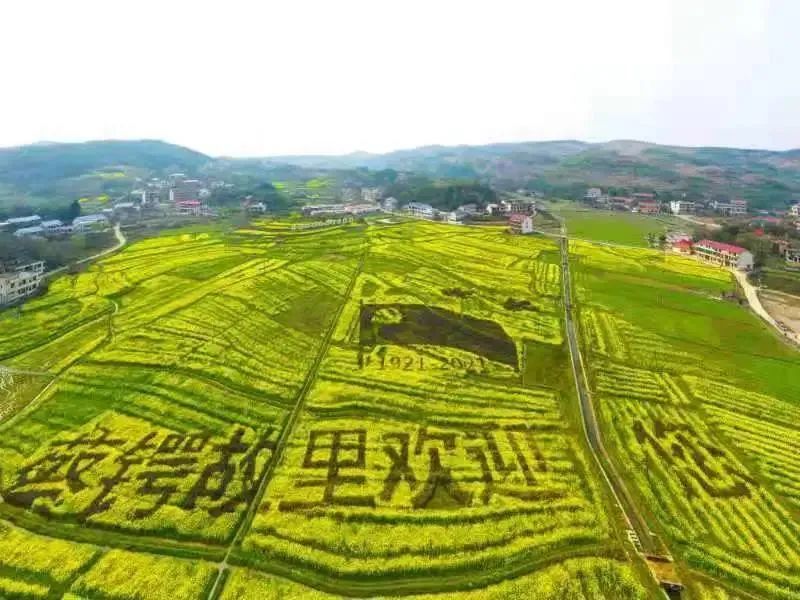 人民日报关注大祥区蔡锷故里的油菜花开(图3)