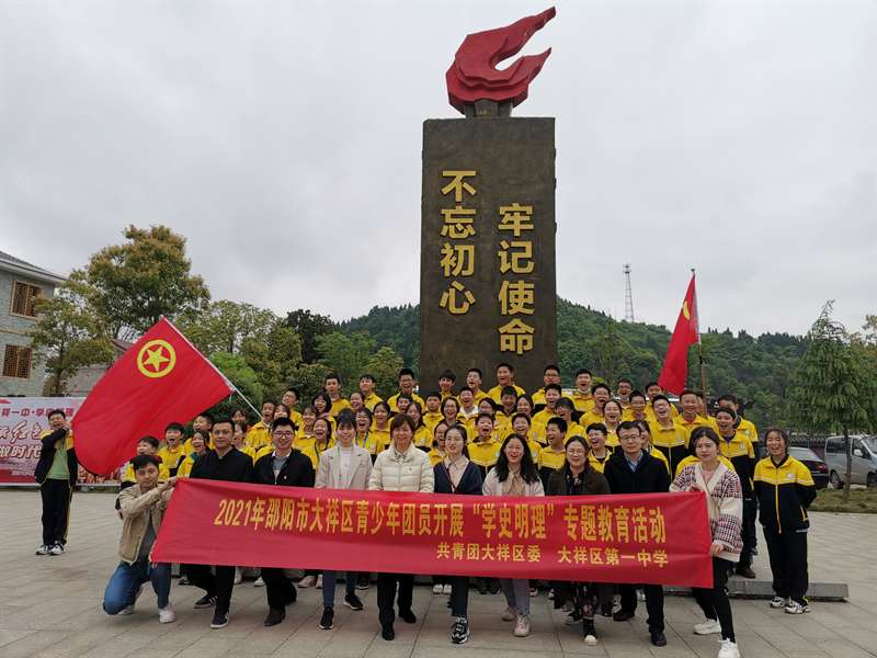 团区委：开展青少年团员“学史明理”专题教育(图5)