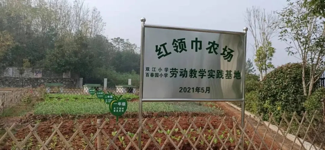 大祥区第一个学校劳动教学实践基地开营(图2)