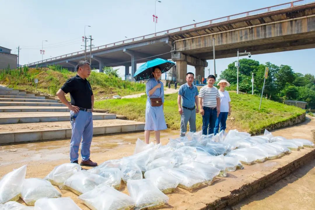 大祥区：开展鱼苗增殖放流 改善资江生态环境(图1)