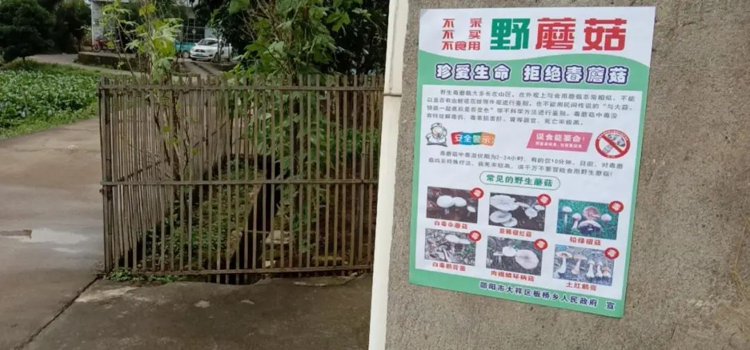 板桥乡：扎实开展预防毒蘑菇中毒宣传(图1)