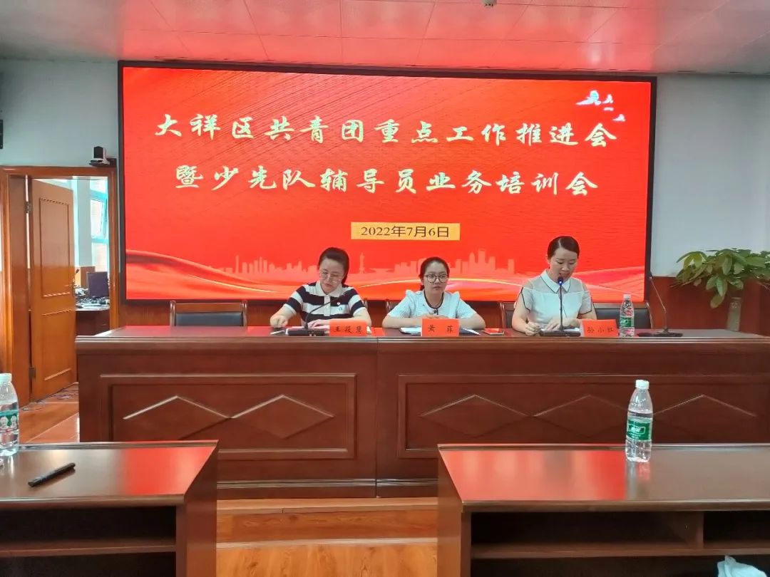 共青团大祥区委召开共青团重点工作推进会 暨少先队业务素质提升培训会(图3)