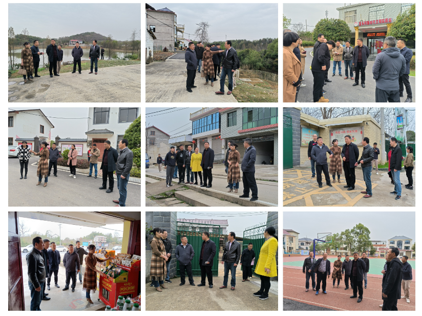 大祥区召开全国文明村（龙头村）及省级文明村镇实地建设现场调度会(图3)