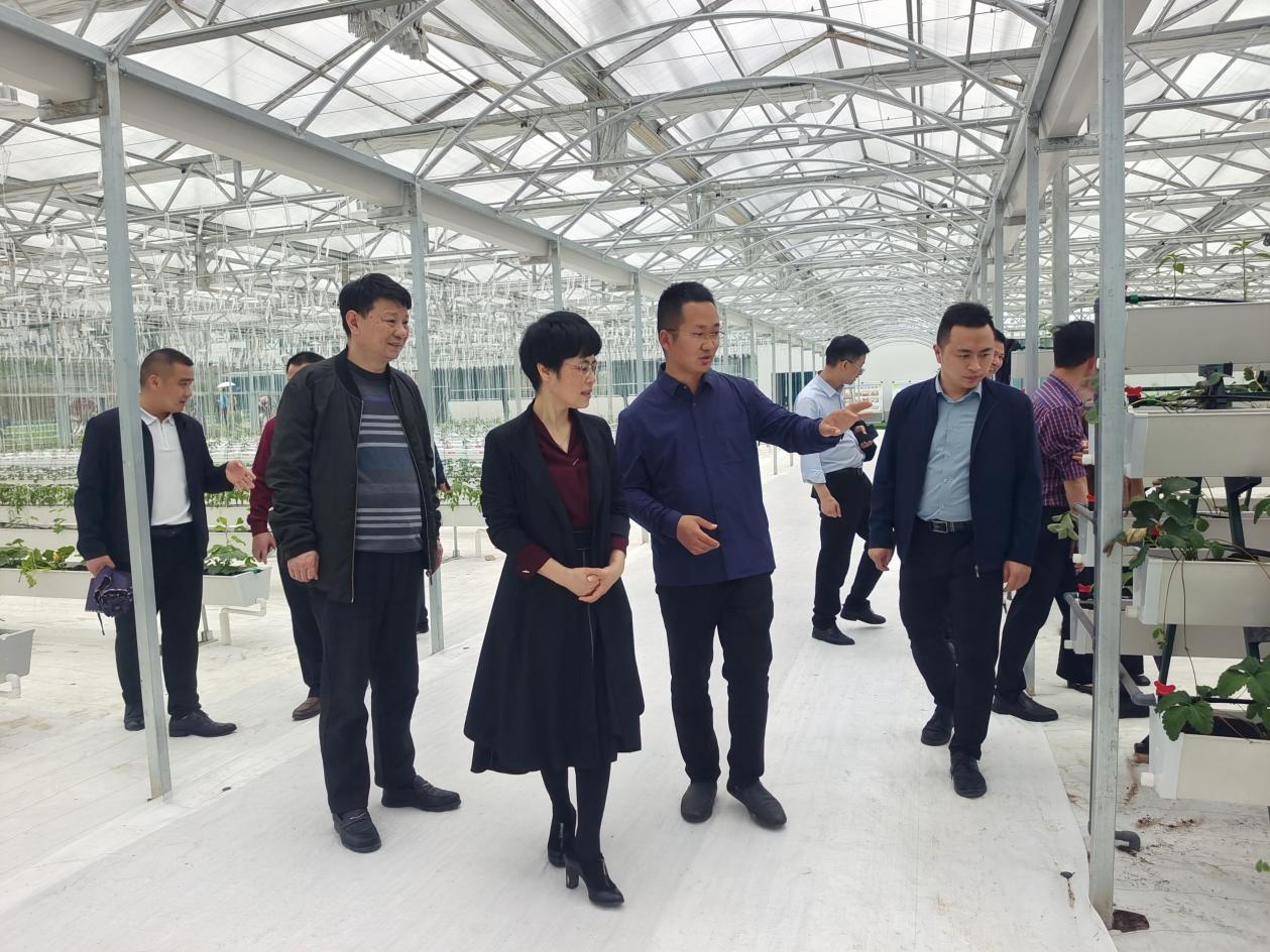 李江晖率队赴多地调研学习(图4)
