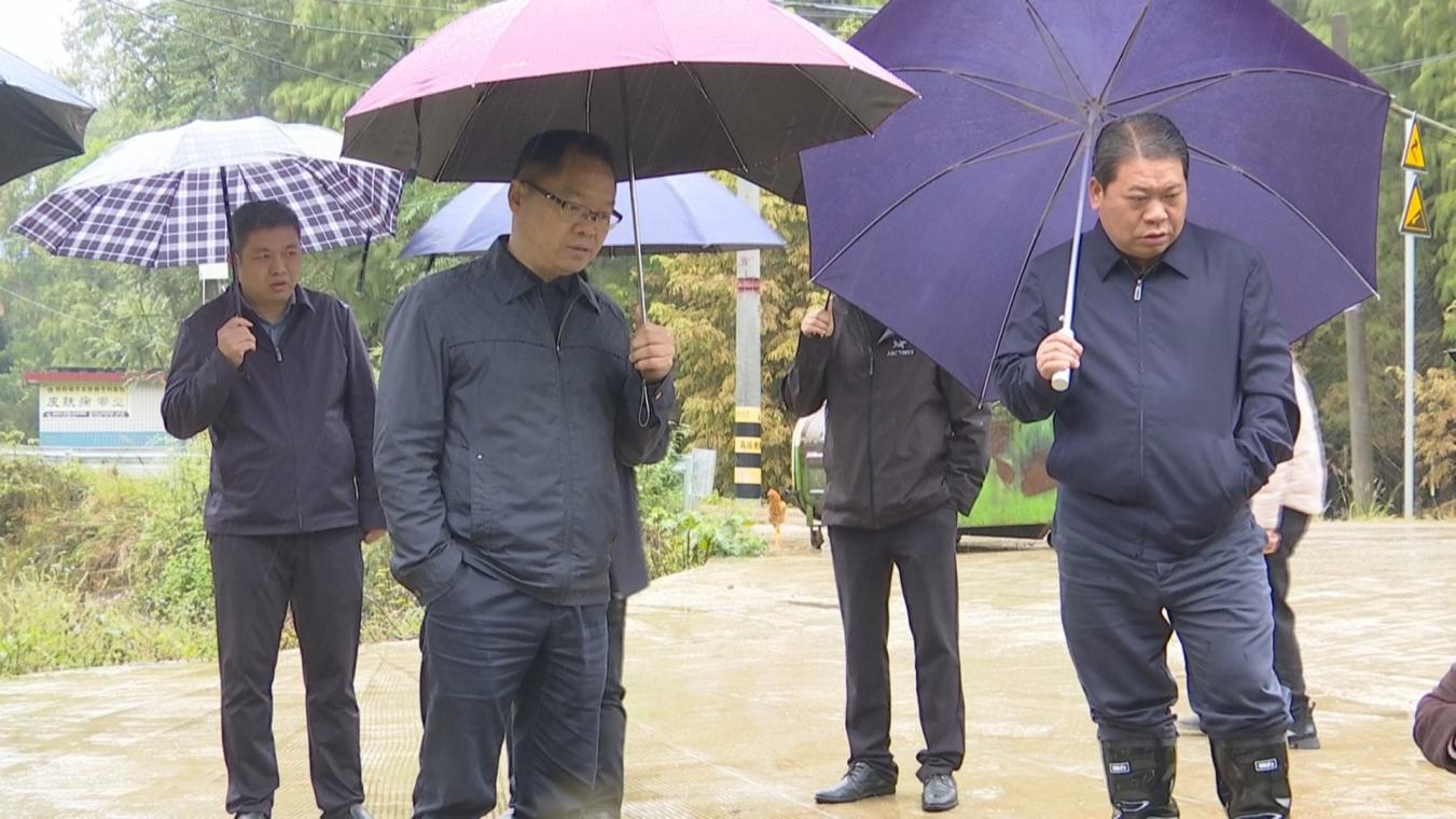 吴旭鹏到大祥区开展巡林工作(图1)