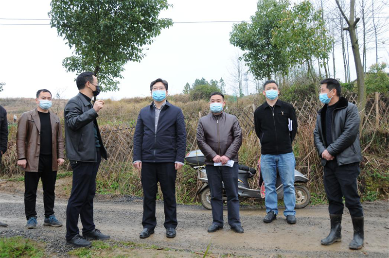 曾市南到大祥督导疫情防控、复工复产及春耕生产工作(图2)