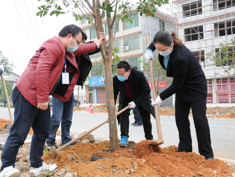 大祥区:植树造林正当时 干群合力添新绿(图2)
