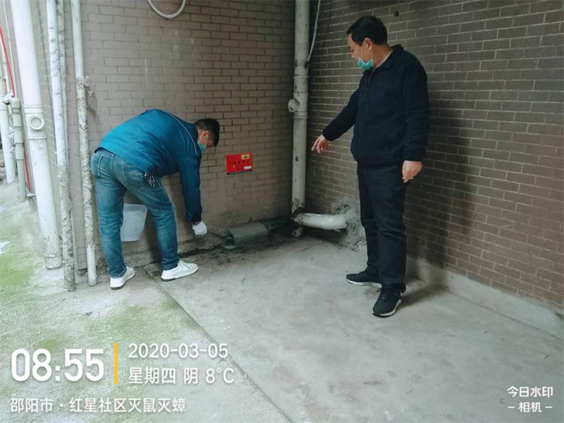 大祥区组织开展春季病媒生物防制工作(图5)
