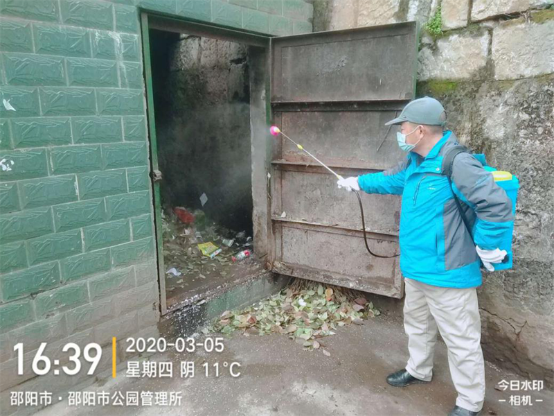 大祥区组织开展春季病媒生物防制工作(图2)