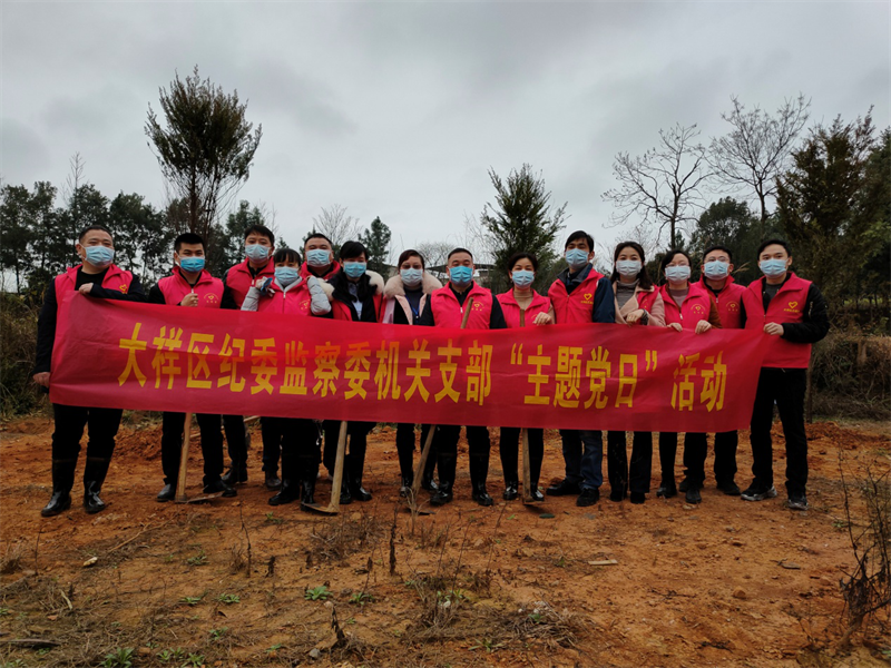 大祥区纪委监委组织开展义务植树活动(图3)