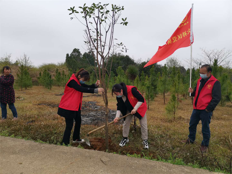 大祥区机关事务服务中心：把“主题党日”活动开到植树现场(图2)