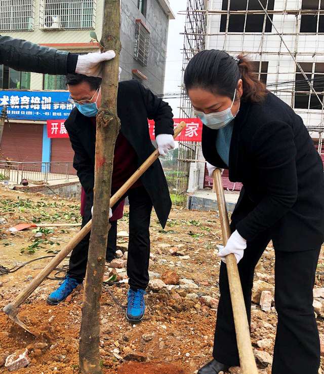 大祥区：春季植树造林4000亩(图2)