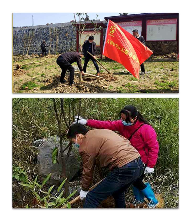大祥区：春季植树造林4000亩(图4)