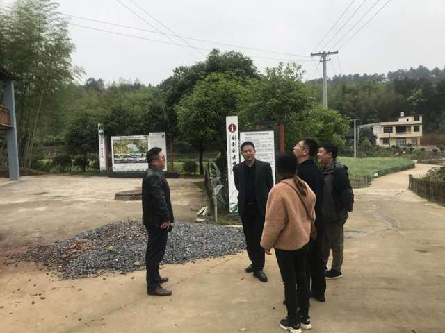 唐枝到罗塘村调研社会治理和村民自治工作(图1)