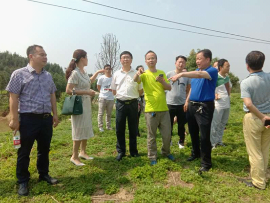 大祥区人大力促盘比村提升脱贫质量(图1)