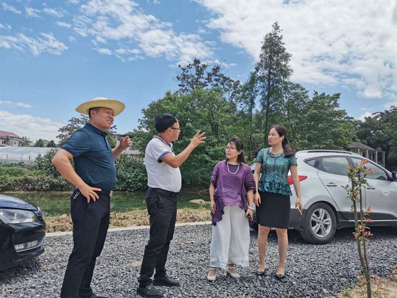 衡阳市农业农村局刘旭一行到大祥区考察学习农田建设管理经验(图2)