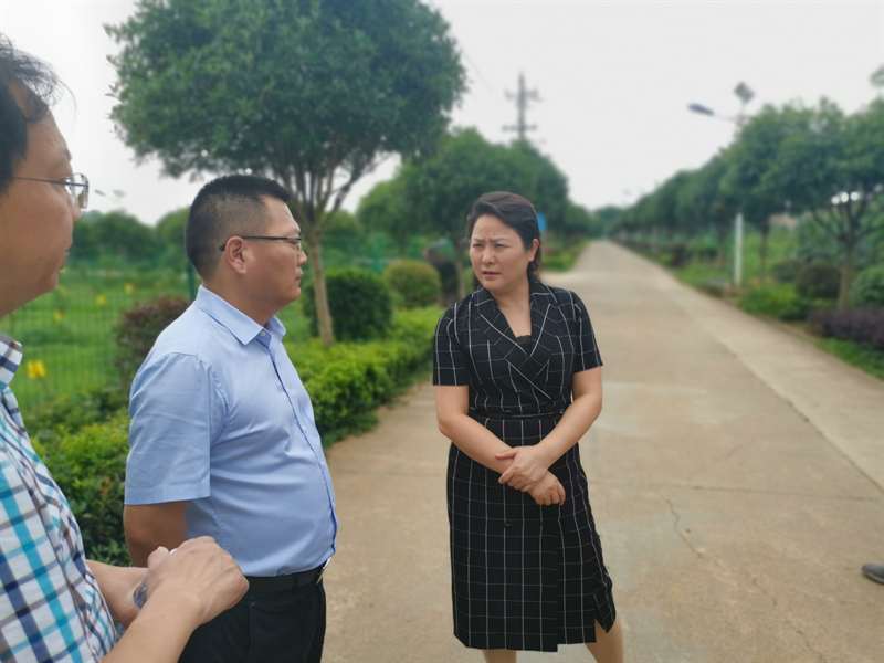大祥区：“引进来 走出去” 推进产业扶贫(图2)