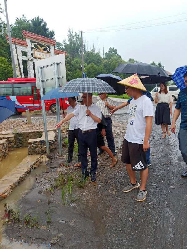 持续推进地质灾害防治体系和防治能力建设——大祥区开展地质灾害隐患排查专项督查行动(图3)