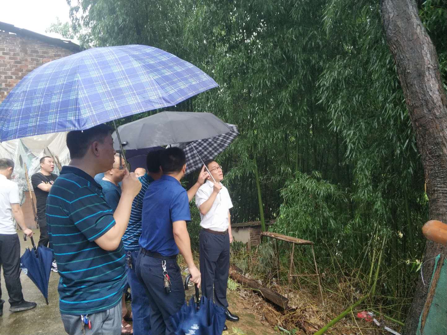 持续推进地质灾害防治体系和防治能力建设——大祥区开展地质灾害隐患排查专项督查行动(图2)