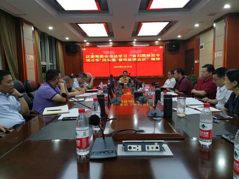 大祥区召开区委常委会专题传达学习“省扫黑除恶专项斗争‘回头看’督导反馈会议”精神(图2)