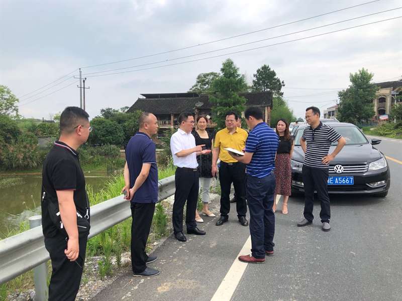 邓涛督导S231沿线“空心房”整治、耕地抛荒治理、农村人居环境整治等工作(图1)