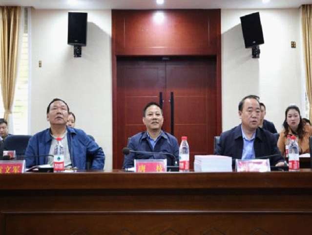 大祥区网格化中心服务管理平台项目顺利通过初验(图1)