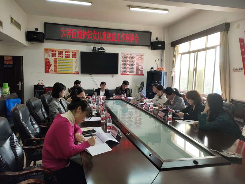 大祥区维护妇女儿童合法权益工作座谈会召开(图2)
