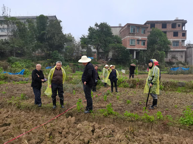 大祥区挂图作战按下湘中职业技术学院项目建设“快进键”(图4)