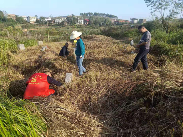 大祥区挂图作战按下湘中职业技术学院项目建设“快进键”(图3)