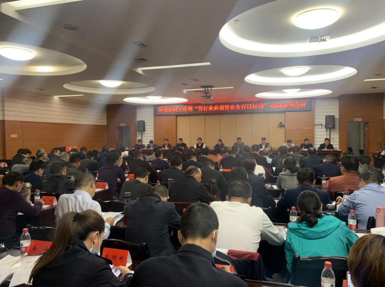 大祥区召开区委农村工作暨“管行业必须管安全百日行动”动员部署会议(图2)