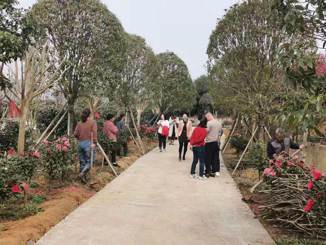 “省级美丽乡村建设示范县”大祥区又拿奖了，邵阳市唯一(图2)