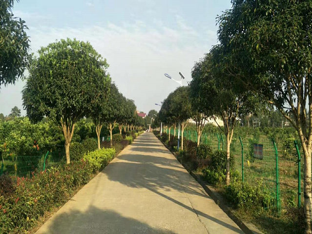 “省级美丽乡村建设示范县”大祥区又拿奖了，邵阳市唯一(图5)