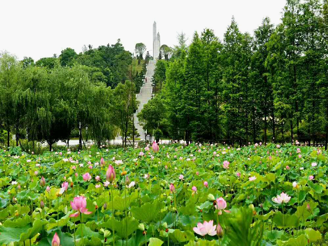 “省级美丽乡村建设示范县”大祥区又拿奖了，邵阳市唯一(图6)