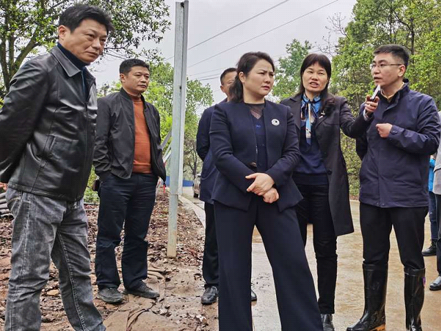 黄艳娥调研犬木塘水库建设项目(图1)